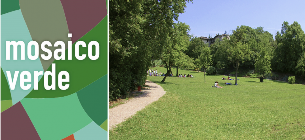A Trento in arrivo 2 mila nuove piante e alberi